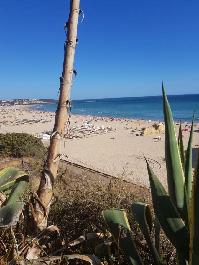 Rocha Tower By Beach Rentals Exteriér fotografie